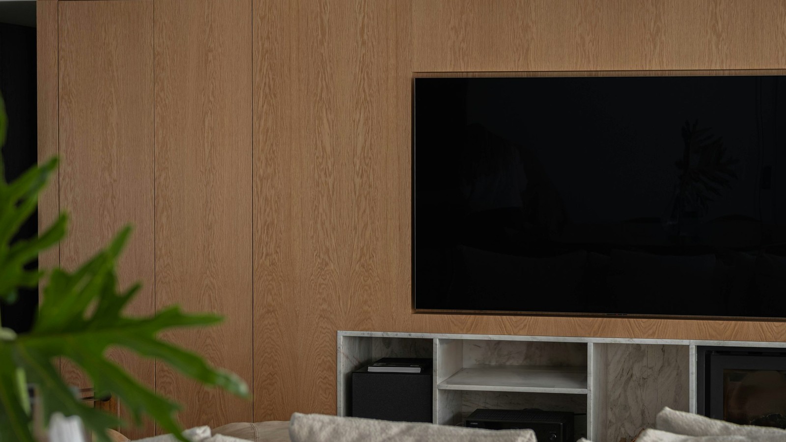 How to Use BleuPlayer Pro topic photo