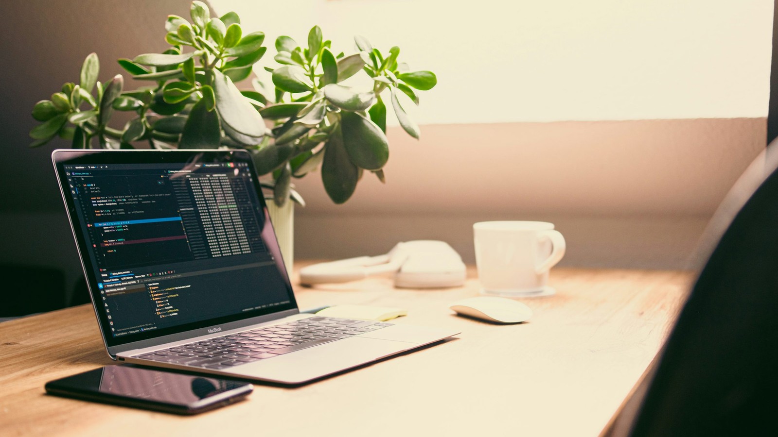 What is Xtream Codes? contextual photo