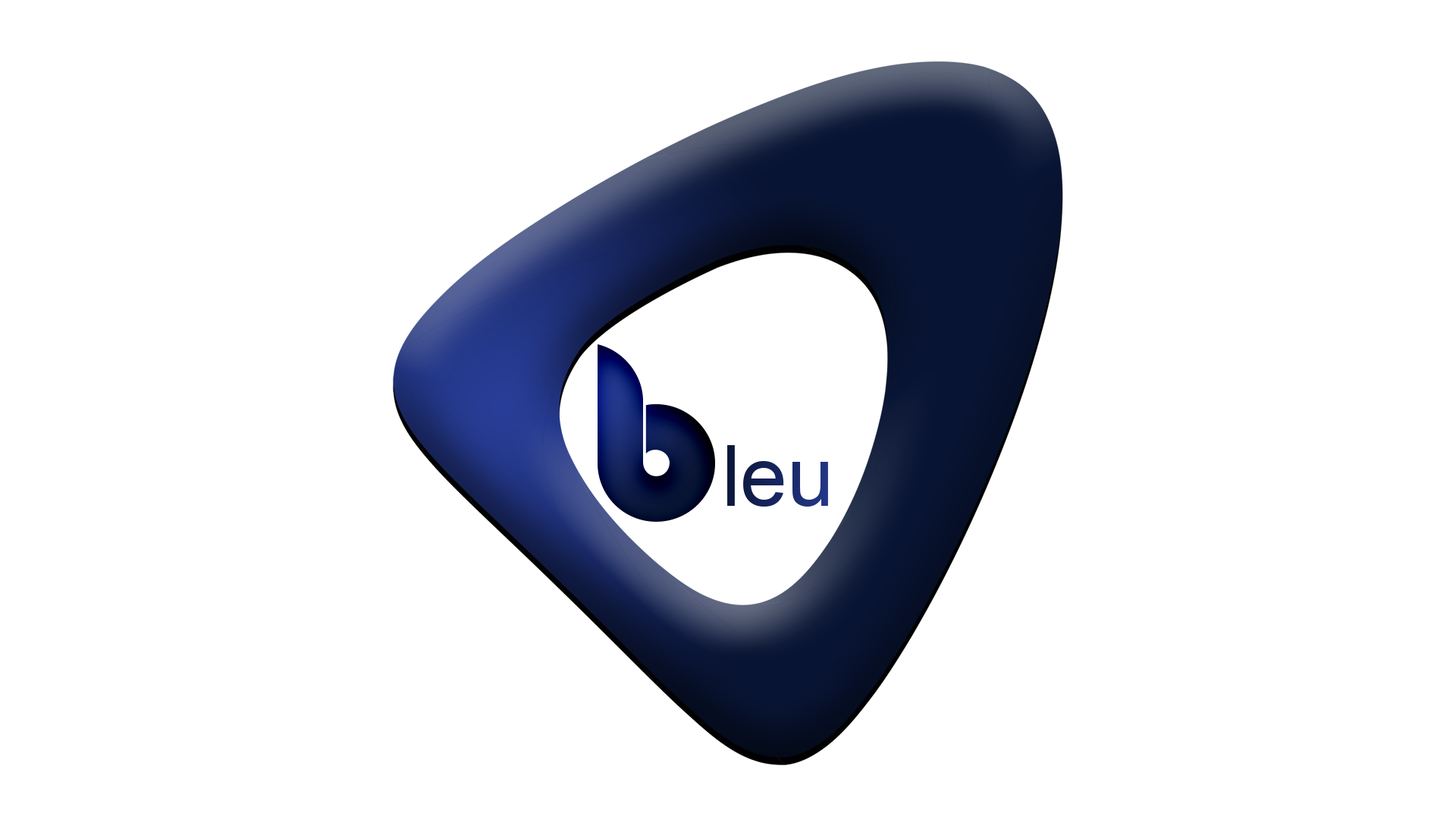 Bleuplayer Pro Logo
